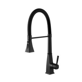 Kitchen Faucet with Pull Down Sprayer